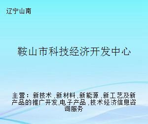 鞍山市科技經(jīng)濟(jì)開(kāi)發(fā)中心 經(jīng)濟(jì)信息咨詢(xún)的橋梁與引擎